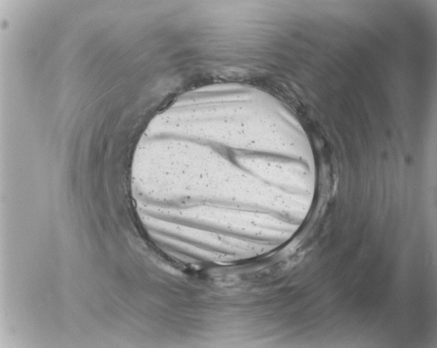 X0000052571345200507291956