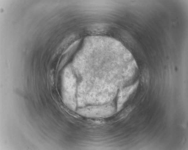 X0000052571346200507291956