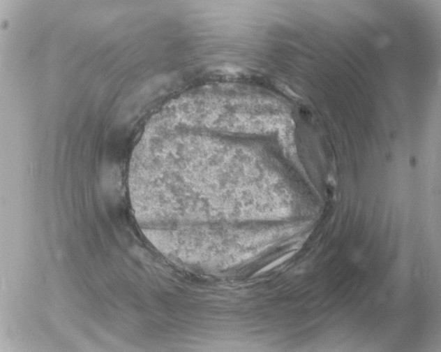 X0000052571347200507291956