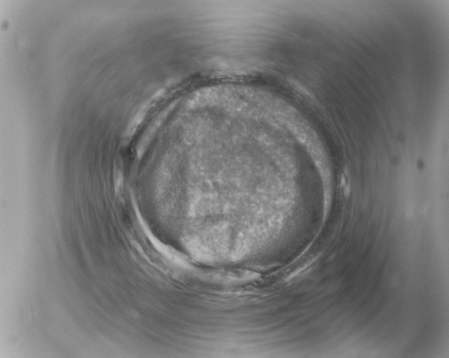 X0000052571348200507291956