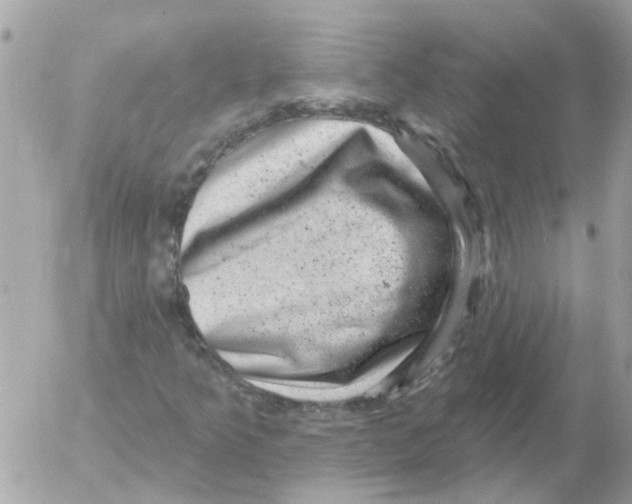 X0000052571349200507291956