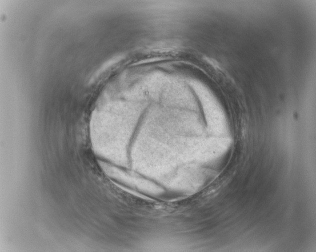 X0000052571350200507291956