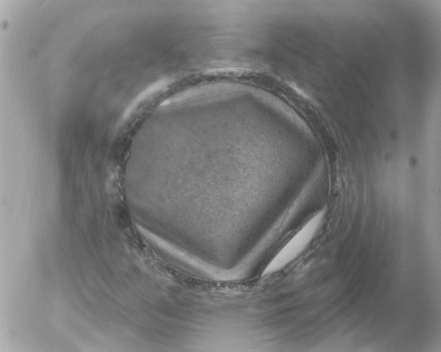 X0000052571351200507291956