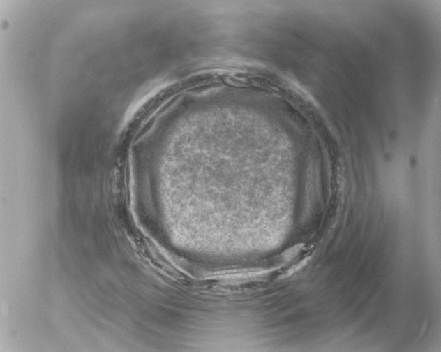 X0000052571352200507291956