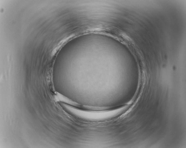 X0000052571353200507291956