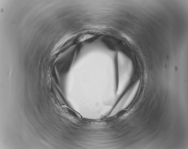 X0000052571354200507291956