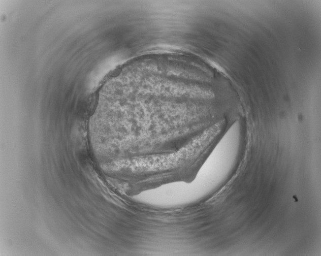 X0000052571355200507291956