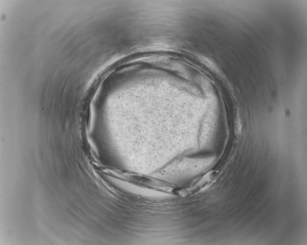 X0000052571356200507291956