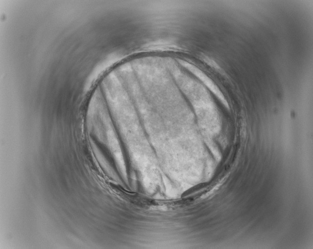 X0000052571358200507291956