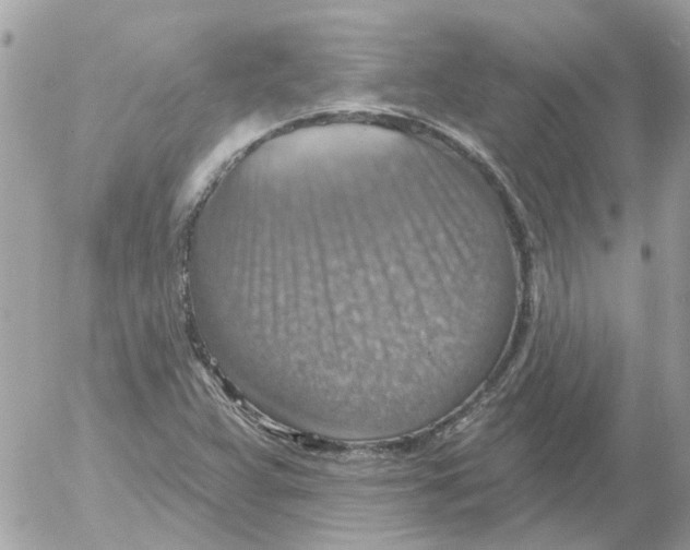 X0000052571359200507291956