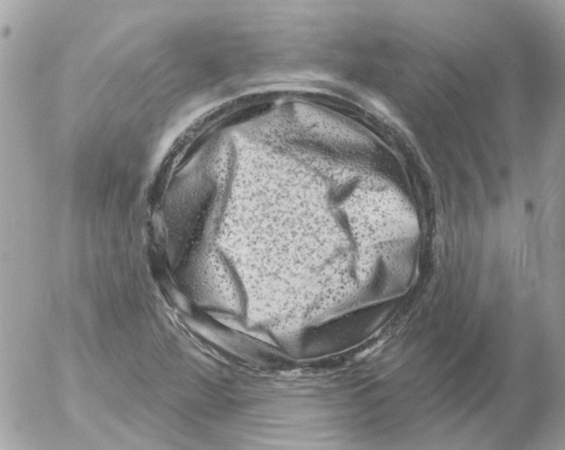 X0000052571360200507291956