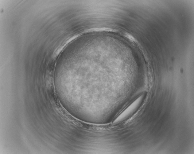 X0000052571361200507291956