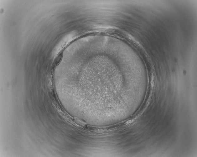 X0000052571362200507291956