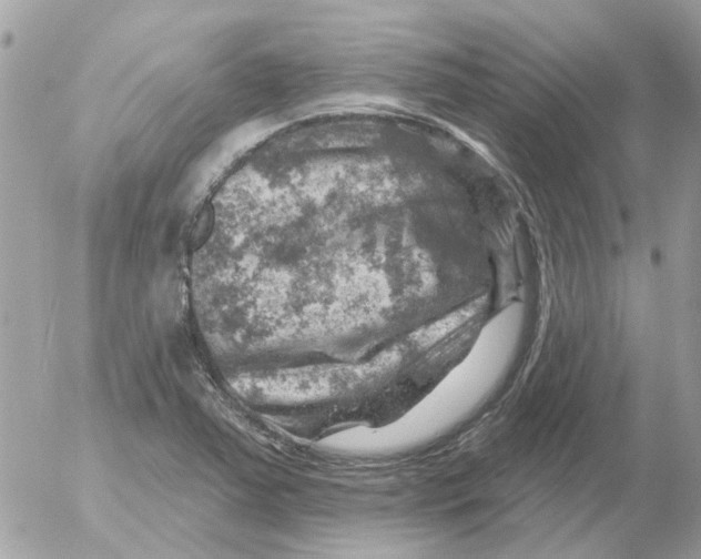 X0000052571363200507291956