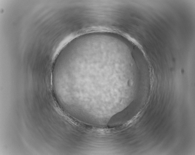 X0000052571365200507291956