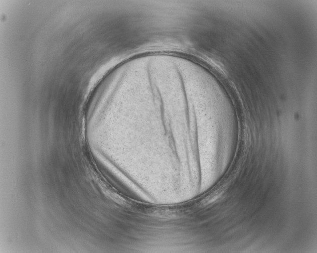 X0000052571366200507291956