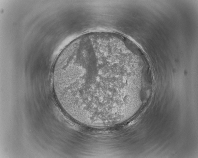 X0000052571367200507291956