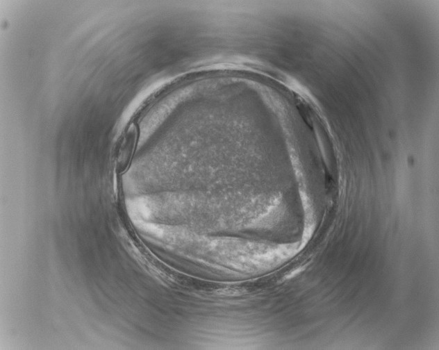 X0000052571368200507291956