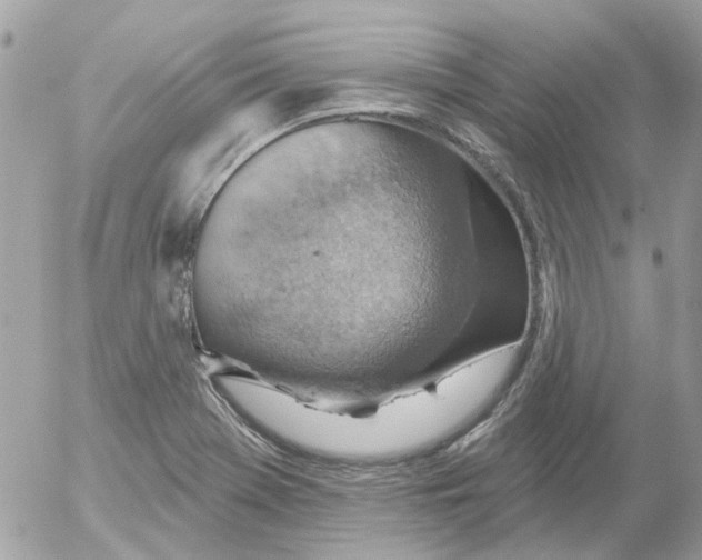 X0000052571369200507291955