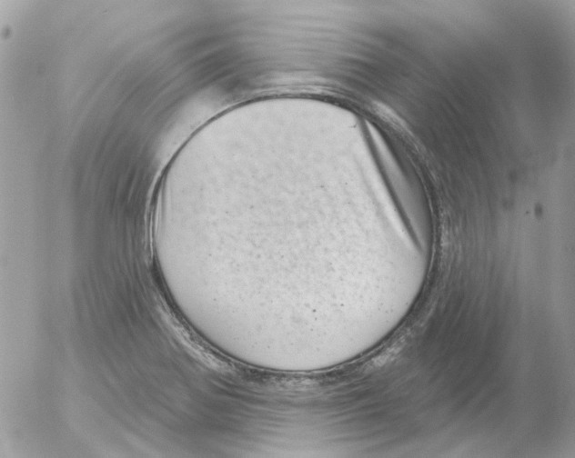 X0000052571370200507291955