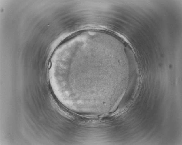 X0000052571371200507291955