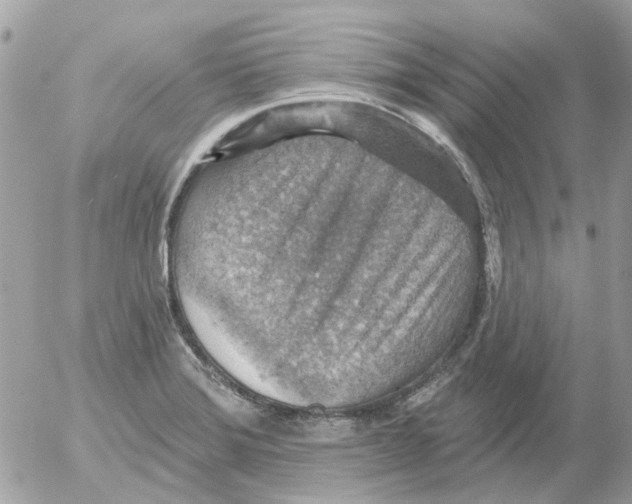 X0000052571372200507291955