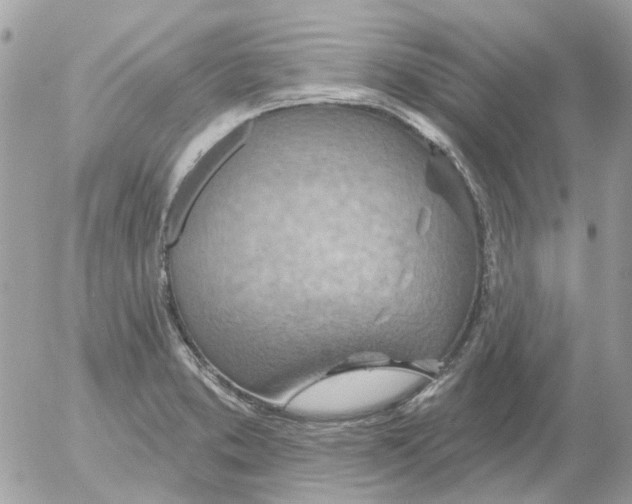 X0000052571373200507291955