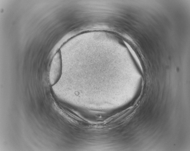 X0000052571374200507291955