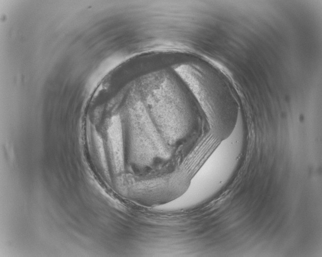 X0000052571375200507291955