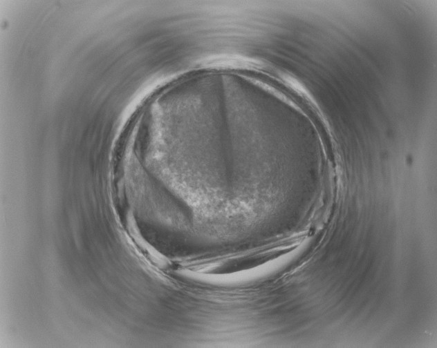 X0000052571376200507291955