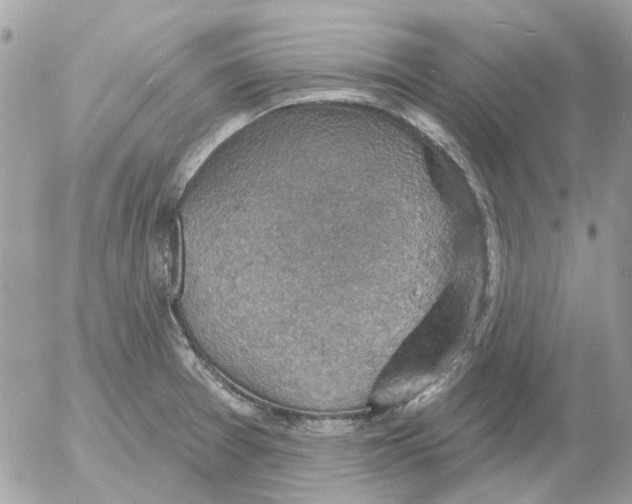 X0000052571377200507291955