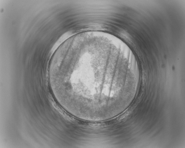 X0000052571378200507291955