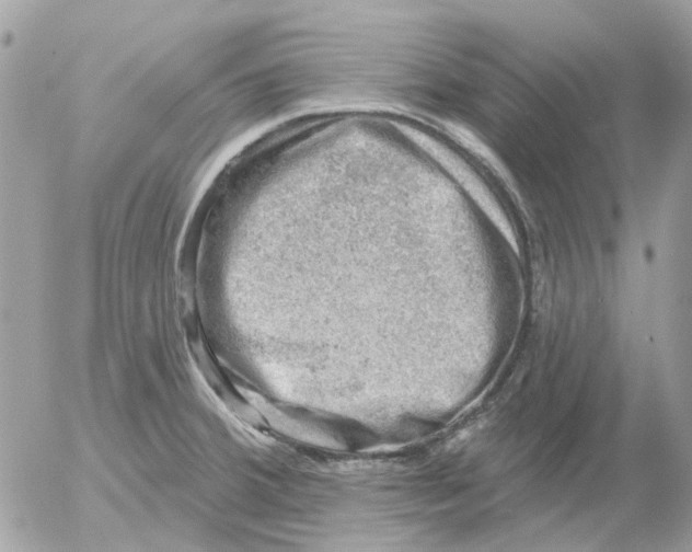 X0000052571380200507291955