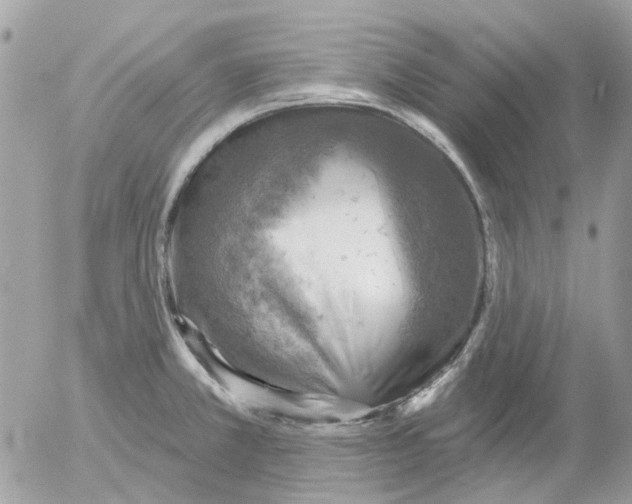 X0000052571381200507291955