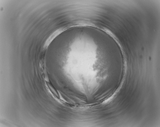 X0000052571385200507291955