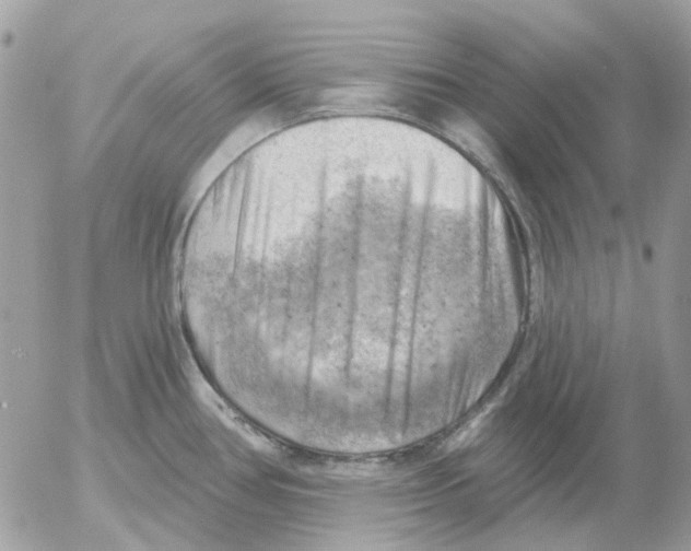 X0000052571386200507291955