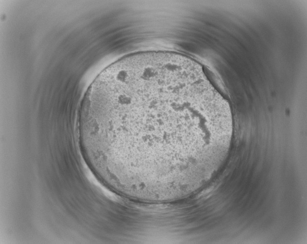 X0000052571387200507291955