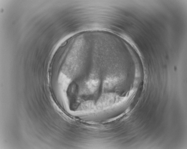 X0000052571388200507291955