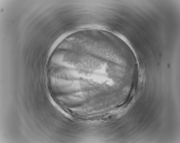 X0000052571389200507291955