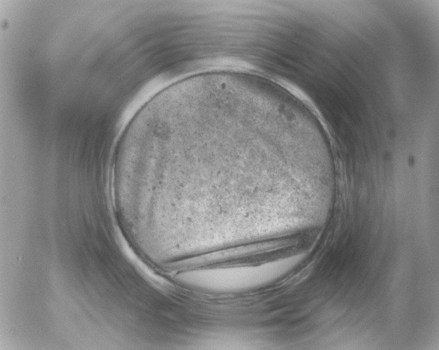 X0000052571391200507291955