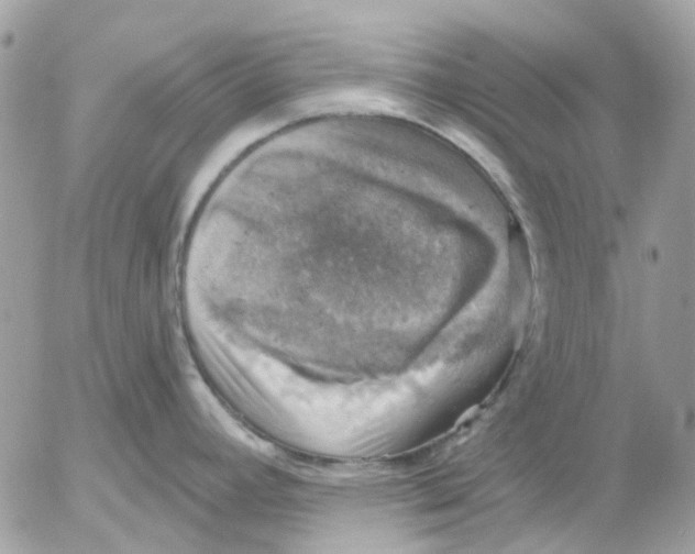 X0000052571392200507291955