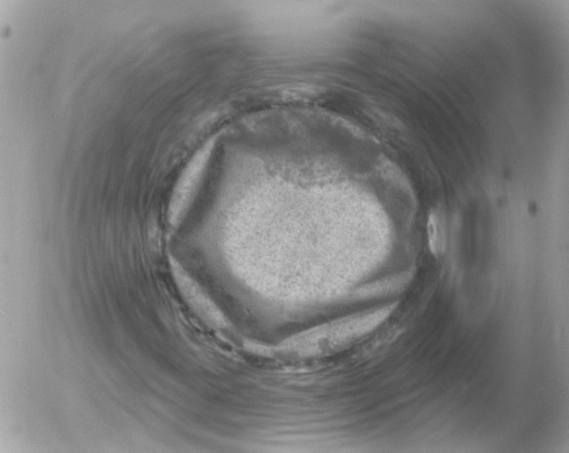 X0000052571395200507291954