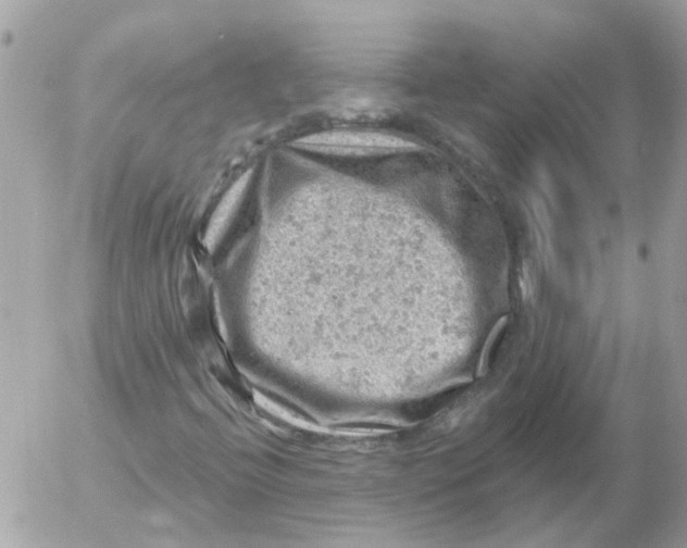 X0000052571396200507291954