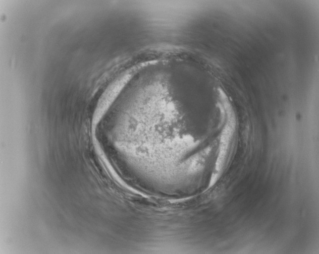 X0000052571397200507291954