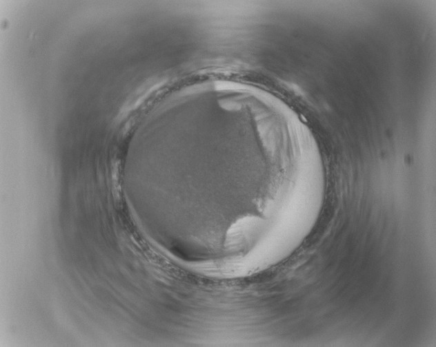 X0000052571399200507291954