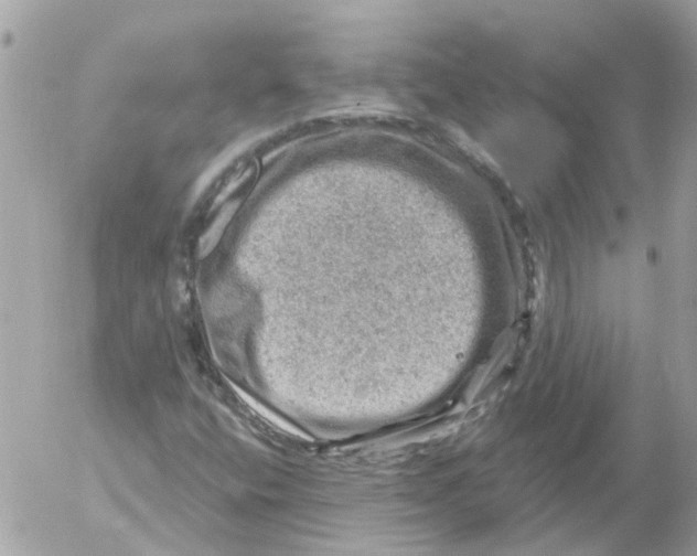 X0000052571400200507291954