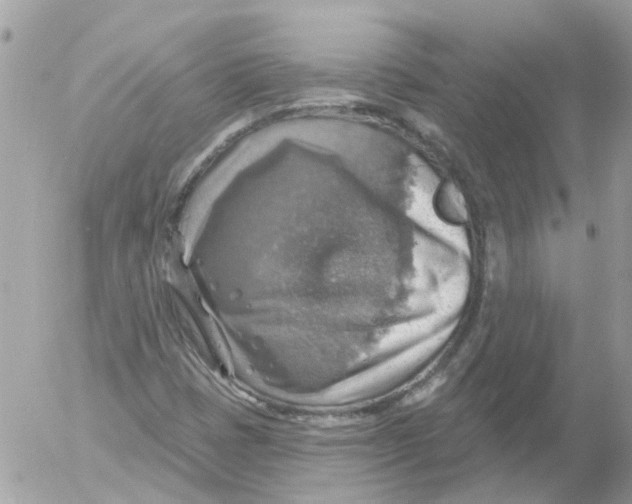 X0000052571401200507291954