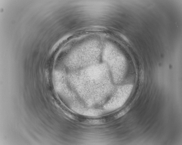 X0000052571402200507291954