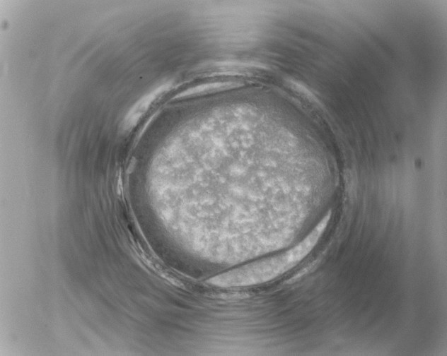 X0000052571403200507291954