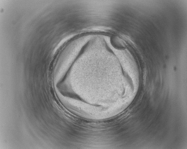 X0000052571404200507291955